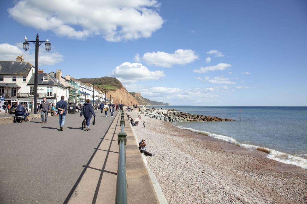 Cobblers Cottage Sidmouth Exteriér fotografie